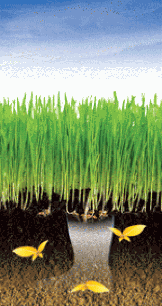 Liepos 2–4 dienomis šurmuliavo žemės ūkio technologijų paroda „Agrovizija 2014“