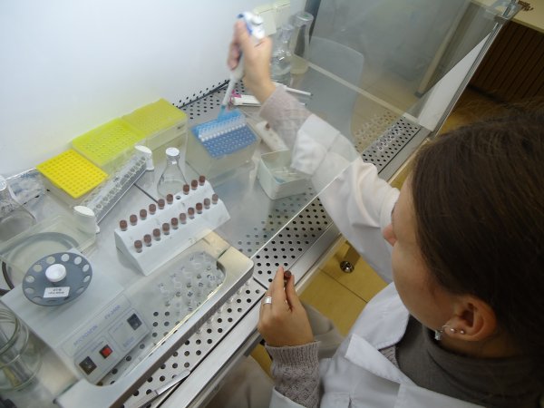 Stažuotė Baltarusijos mokslų akademijos Gomelio miškų institute
