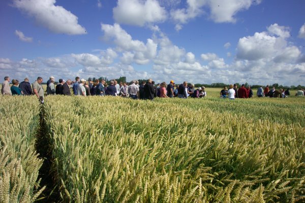Didelio susidomėjimo sulaukė seminaras-lauko diena „Veislės integruotai ligų kontrolei“