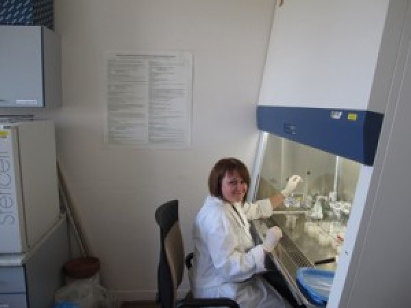 Doktorantė Akvilė Jonavičienė stažavosi Čekijoje