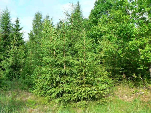 Darbinis pasitarimas Krokuvoje