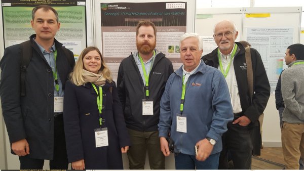 Žemdirbystės instituto mokslininkai dalyvavo tarptautiniame kviečių genetikos simpoziume