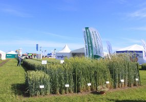 Exhibition of Agricultural Technologies “Agrovizija” - 14