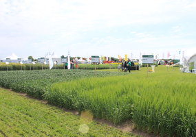 Exhibition of Agricultural Technologies “Agrovizija” - 20