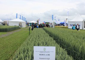 Exhibition of Agricultural Technologies “Agrovizija” - 30