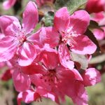 IMG_0061